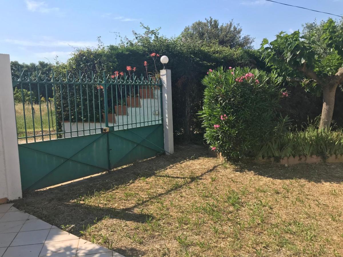 Villa Mas De La Vieille Vigne Argelès-sur-Mer Esterno foto